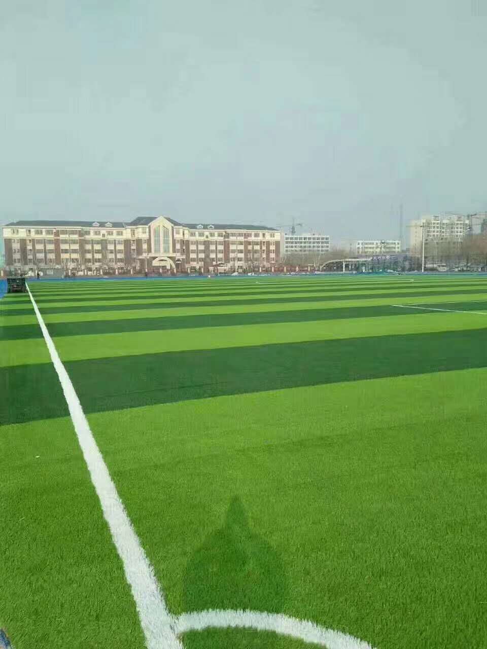南平市彩色epdm颗粒仿真草坪 - 厂家